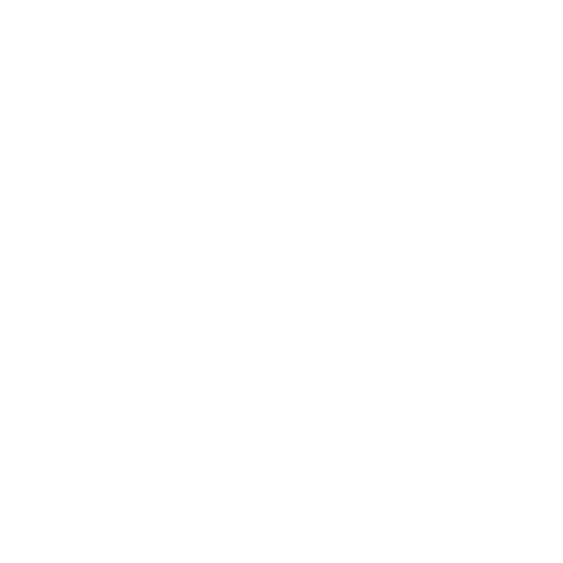 Cyber Security